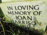 image of grave number 613041